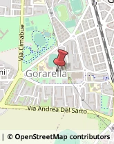 Via Papa Giovanni XXIII, 77,58100Grosseto