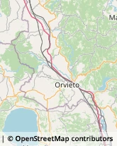 Ortofrutticoltura Orvieto,05018Terni