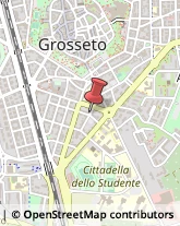 Via Nino Bixio, 26,58100Grosseto