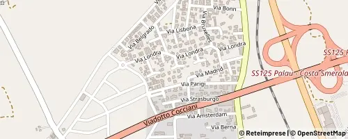 Mappa Olbia