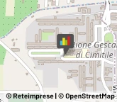 Provincia e Servizi Provinciali Cimitile,80030Napoli