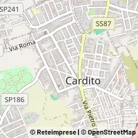 Kort Cardito