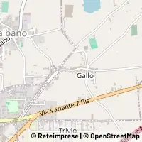Kart Comiziano