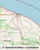 Formaggi e Latticini - Produzione Turi,70010Bari