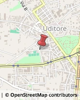 Via Pozzo a Uditore, 41/A,90145Palermo