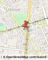 Via Uditore, 7/D,90145Palermo