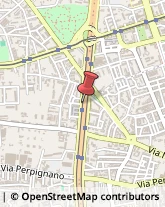 Via Gorgia da Lentini, 35,90135Palermo