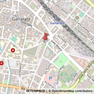 Mappa Via Cantoni, 1, 21013 Gallarate, Varese (Lombardia)