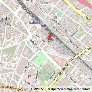Mappa Via Trieste, 33, 21013 Gallarate, Varese (Lombardia)