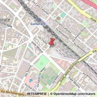 Mappa Via Trieste, 35, 21013 Gallarate, Varese (Lombardia)