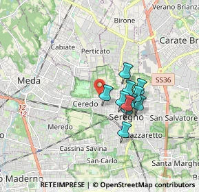 Mappa Via Belluno, 20831 Seregno MB, Italia (1.24636)
