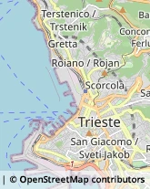 Consulenza Commerciale Trieste,34121Trieste