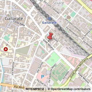 Mappa Viale Milano, 7, 21013 Gallarate, Varese (Lombardia)