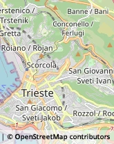 Agenti e Rappresentanti di Commercio Trieste,34128Trieste