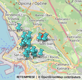 Mappa Via Costantino Costantinides, 34128 Trieste TS, Italia (1.6065)