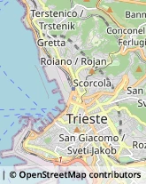 Agenti e Rappresentanti di Commercio Trieste,34136Trieste