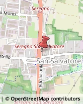 Viale della Repubblica, 174,20831Seregno