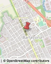 Corso Milano, 80,20825Barlassina