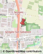 Via Bevera, 23,20831Seregno