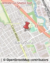 Via Giuseppe Garibaldi, 33,20825Barlassina