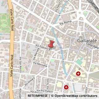 Mappa Via Palestro, 1, 21013 Gallarate, Varese (Lombardia)