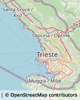 Pescherie Trieste,34145Trieste