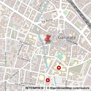 Mappa Vicolo Volpe, 2, 21013 Gallarate, Varese (Lombardia)