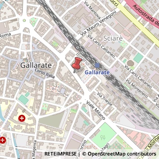 Mappa Via Luigi Borghi,  8, 21013 Gallarate, Varese (Lombardia)