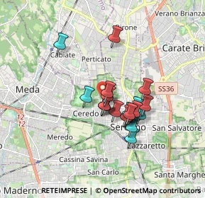 Mappa Via Nervesa, 20831 Seregno MB, Italia (1.267)