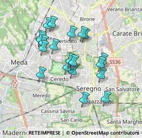 Mappa Via Nervesa, 20831 Seregno MB, Italia (1.566)