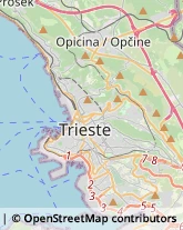 Prodotti Pulizia Trieste,34145Trieste