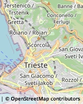 Prodotti Pulizia Trieste,34132Trieste