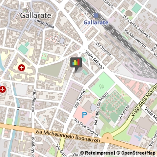 Riso Gallarate,21013Varese