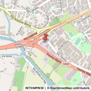 Mappa Via Treviso, 65, 31057 Silea, Treviso (Veneto)