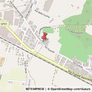 Mappa Viale Fratelli Kennedy, 36, 24060 Chiuduno, Bergamo (Lombardia)