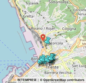 Mappa V.le Miramare, 34132 Trieste TS, Italia (1.005)