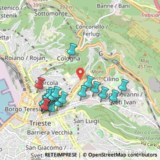 Mappa Via Emilio Scauro, 34127 Trieste TS, Italia (1.018)