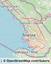 Corrieri Trieste,34149Trieste