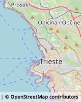 Corrieri Trieste,34123Trieste