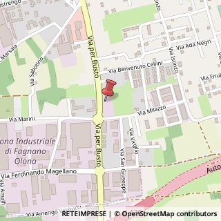 Mappa Via per Busto Arsizio, 49, 21054 Olgiate Olona, Varese (Lombardia)
