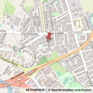 Mappa Via Enzo Venturini, 22, 31057 Silea, Treviso (Veneto)