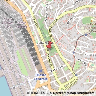 Mappa Via Udine, 31, 34135 Trieste, Trieste (Friuli-Venezia Giulia)