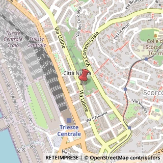 Mappa Via Udine, 31, 34100 Trieste, Trieste (Friuli-Venezia Giulia)