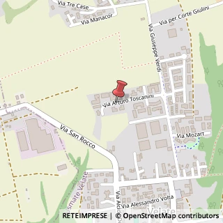 Mappa Via Arturo Toscanini, 17, 20865 Usmate Velate, Monza e Brianza (Lombardia)