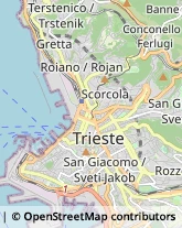 Laboratori Odontotecnici Trieste,34135Trieste