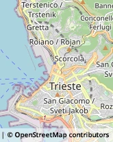 Tabaccherie Trieste,34135Trieste