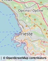 Tabaccherie Trieste,34126Trieste