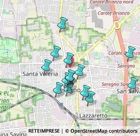 Mappa Via Cesare Cantù, 20831 Seregno MB, Italia (0.81067)