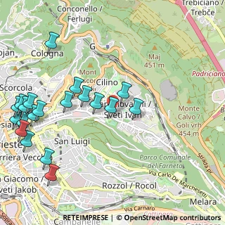 Mappa V.le Raffaello Sanzio, 34123 Trieste TS, Italia (1.3125)