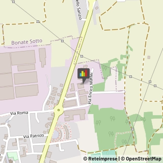 Autotrasporti Madone,24040Bergamo